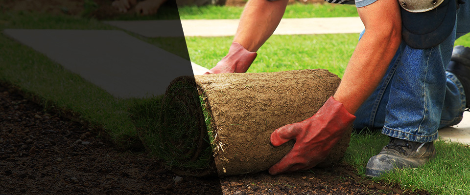 Pelham Landscapers